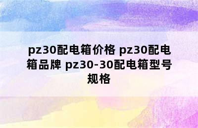 pz30配电箱价格 pz30配电箱品牌 pz30-30配电箱型号规格